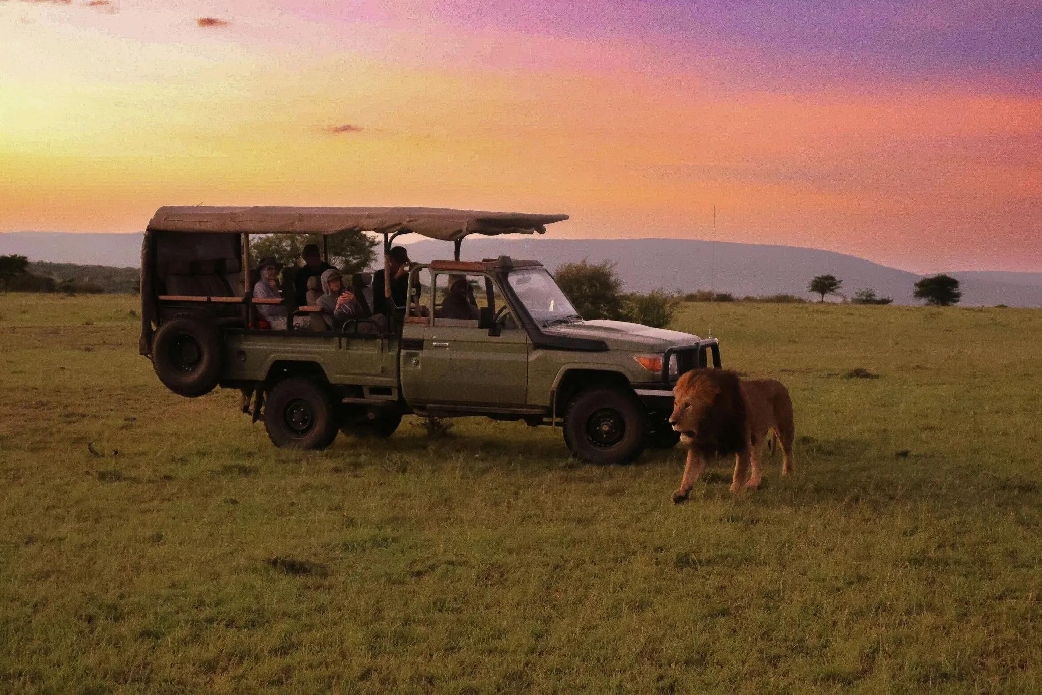 Jeep Safari