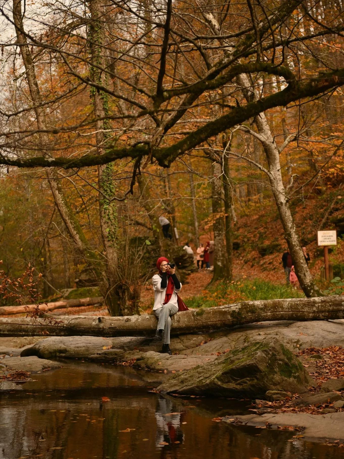 Yedigöller; Sonbahar ve Trekking